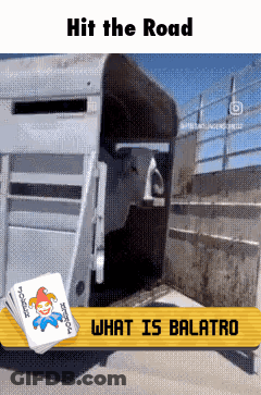 Horse Trailer Hit The Road What Is Balatro GIF