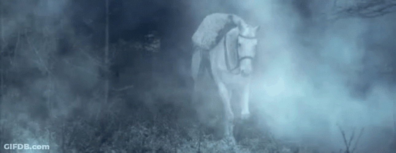 Horse Walking Inside The Fog GIF