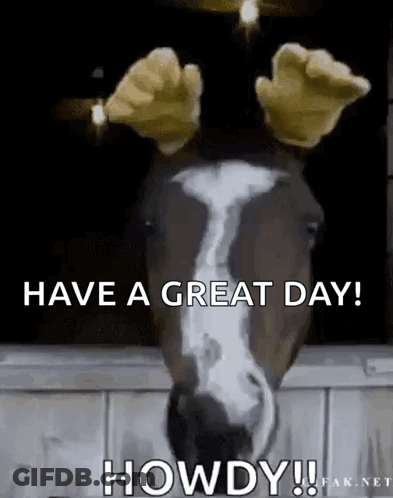 Horse Wearing Gloves Saying Have A Great Day GIF