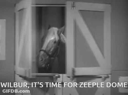 Horse Wilbur Time For Zeeple Dome GIF