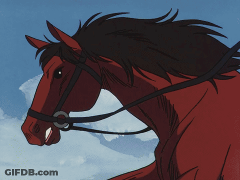 Horse With Bridle GIF