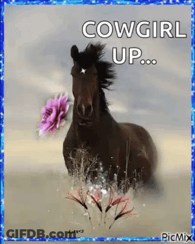 Horse With Pink Flower Saying Cowgirl Up GIF