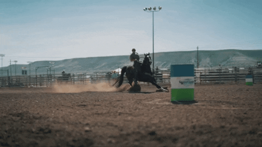 Horseback Riding Coming In Hot GIF
