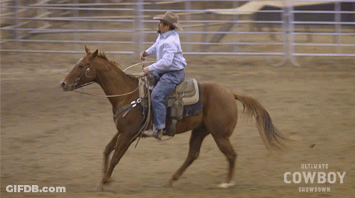 Horseback Riding Coy Melancon GIF