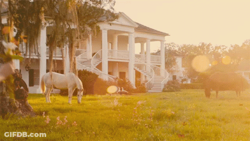 Horses Grazing In Front Of A Large White House With Stairs GIF
