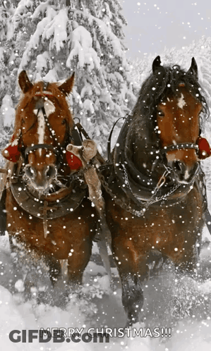 Horses Pulling Sleigh In Snow Merry Christmas GIF