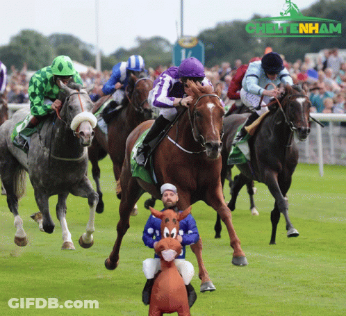 Horses Racing On Chiltern Track GIF