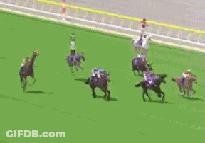 Horses Racing On Grass Field GIF