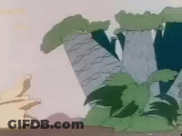 Horses Running In Circle Lets Go To Colombia GIF