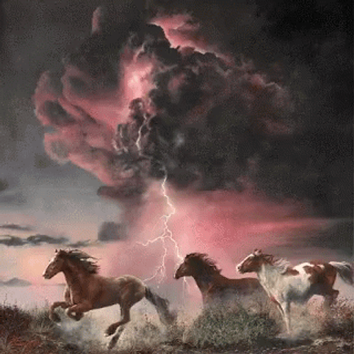 Horses Scared In The Perfect Storm GIF