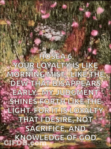 Hosea 6 Your Loyalty Is Like Morning Mist Like The Dew That Disappears Early My Judgment Shines Forth Like The Light GIF