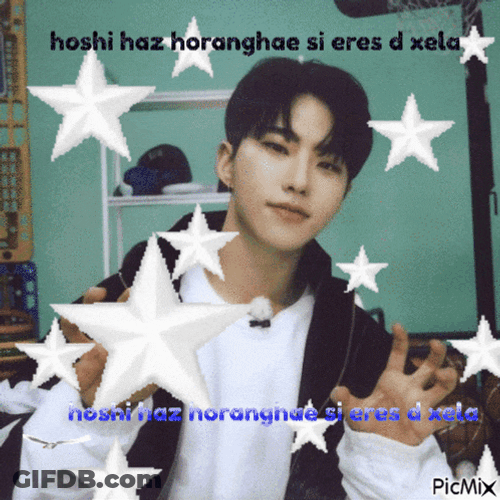 Hoshi Svt GIF