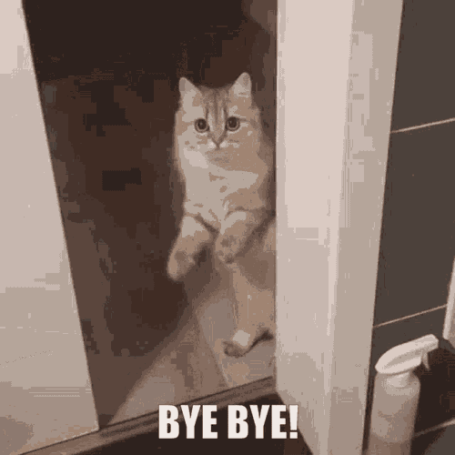 Hospital Hello GIF