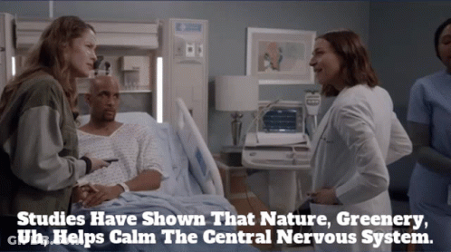 Hospital Scene Studies Show Nature Greenery Calms Nervous System GIF