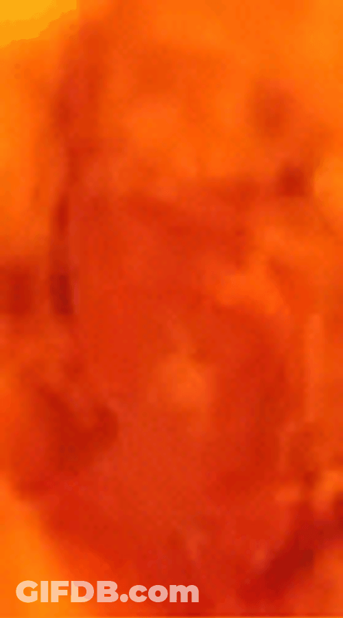 Hot As Hell Burning Face GIF