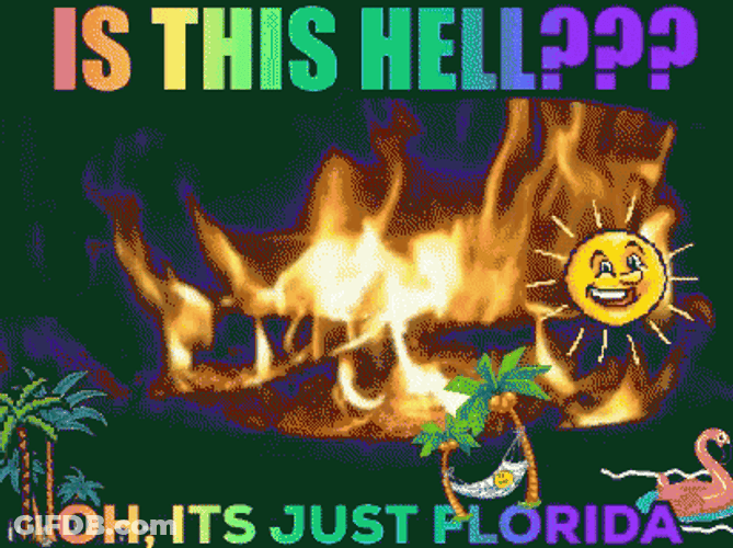 Hot As Hell In Florida GIF