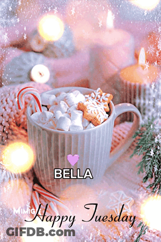 Hot Chocolate With Marshmallows And Candy Canes GIF