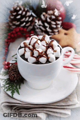 Hot Chocolate With Marshmallows And Chocolate Syrup GIF