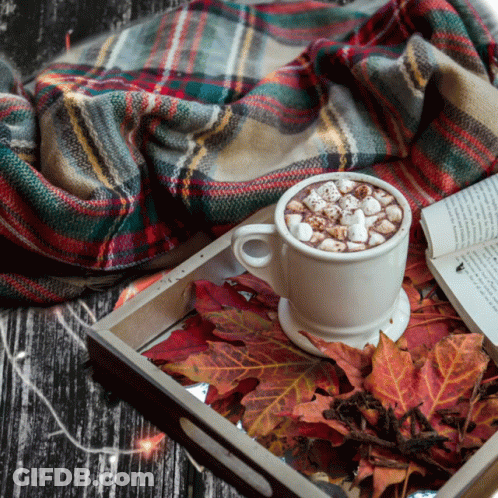 Hot Chocolate With Marshmallows On Tray GIF