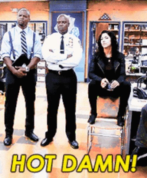Hot Damn Raymond Holt GIF