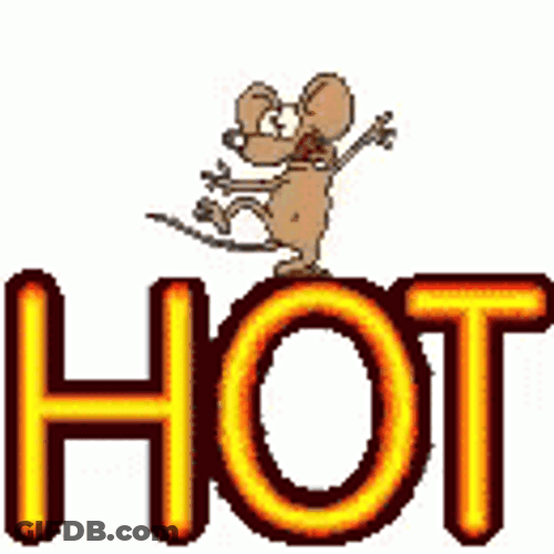 Hot Dancing Rat Day GIF