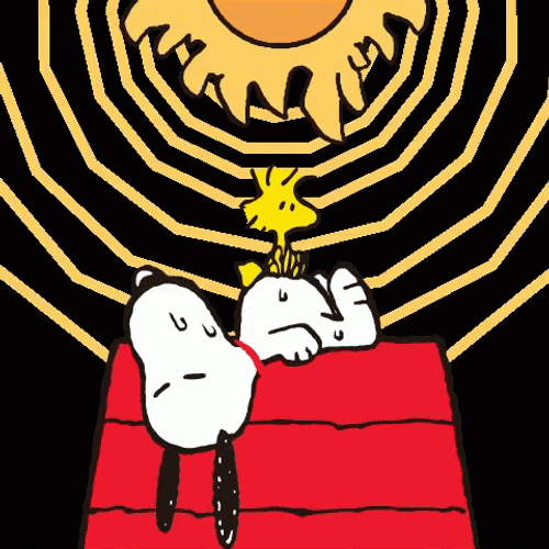 Hot Day With Snoopy GIF