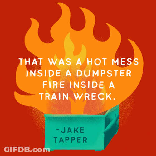 Hot Mess Inside A Dumpster Garbage GIF