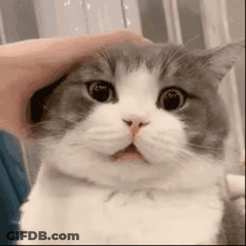 Hot Potato GIF
