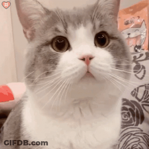 Hot Potato GIF
