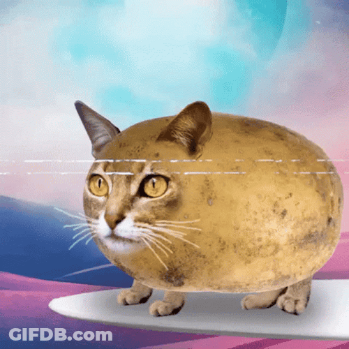 Hot Potato With Cat Face GIF