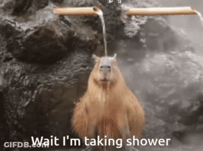 Hot Showering Capybara Meme GIF
