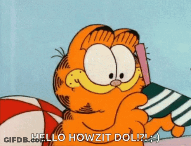 Hot Sun Garfield Wears Sunglasses GIF