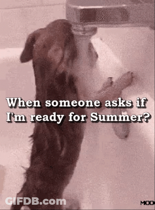 Hot To Go Ready For Summer GIF