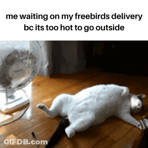 Hot To Go World Outside GIF