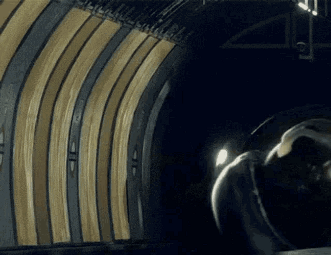 Hotdog Bullet Train GIF