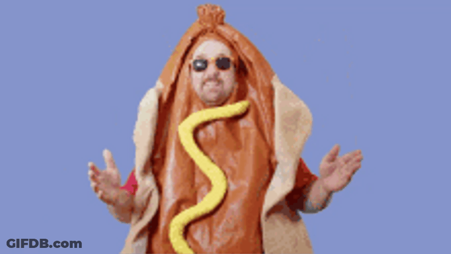 Hotdog Costume Pay Day Money Money Money GIF