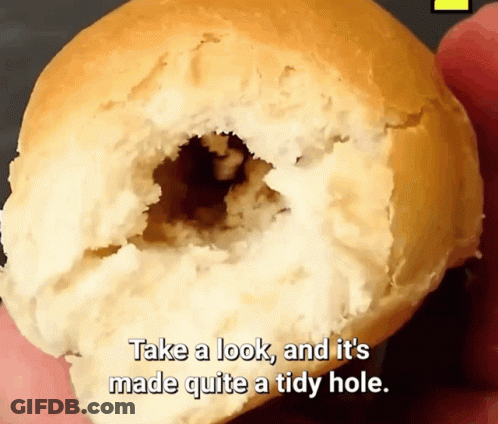 Hotdog Hole GIF