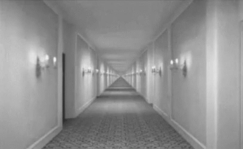 Hotel Hallway Optical Illusion GIF
