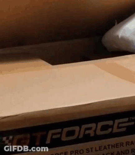 Hotforce Pro ST Leather Rack Box GIF