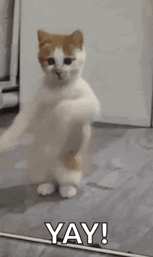 Hottie Dancing GIF