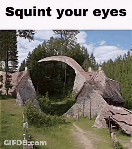 House In Forest Squirt Your Eyes GIF
