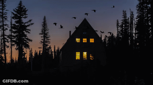 House In The Woods With Full Moon Saying Good Night GIF