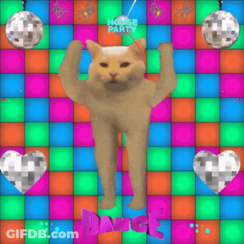 House Party Cat Dance GIF