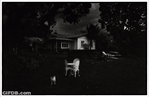 House Saying Kame House GIF