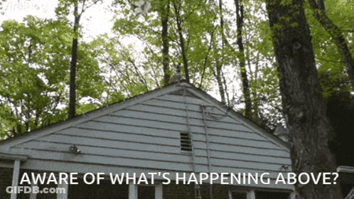 House With Aware Of What's Happening Above GIF