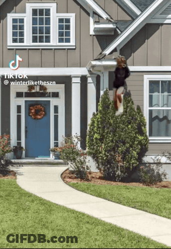 House With Blue Door And Woman GIF