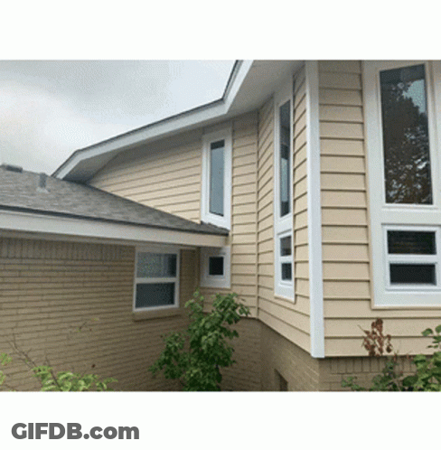 House With Many Windows GIF