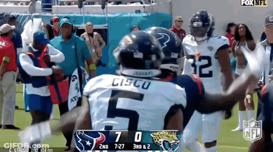 Houston Texans Harsh Player GIF