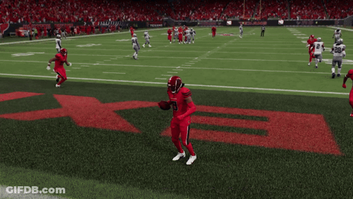 Houston Texans Vs Dallas Cowboys Football Game GIF