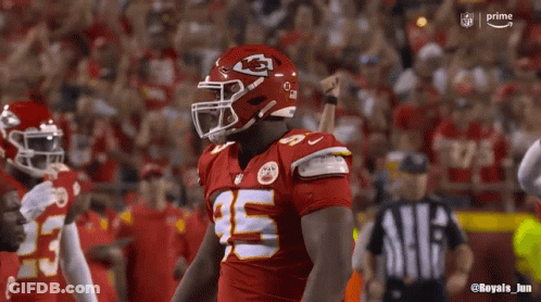 Houston Vs Kansas City Football Game GIF
